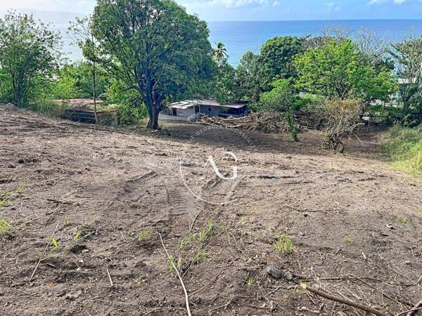 Terrain rare 1800 m² - Vue mer - Saint-Pierre