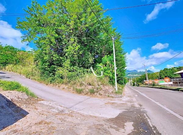 Terrain rare 1800 m² - Vue mer - Saint-Pierre