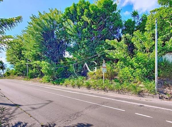 Terrain rare 1800 m² - Vue mer - Saint-Pierre