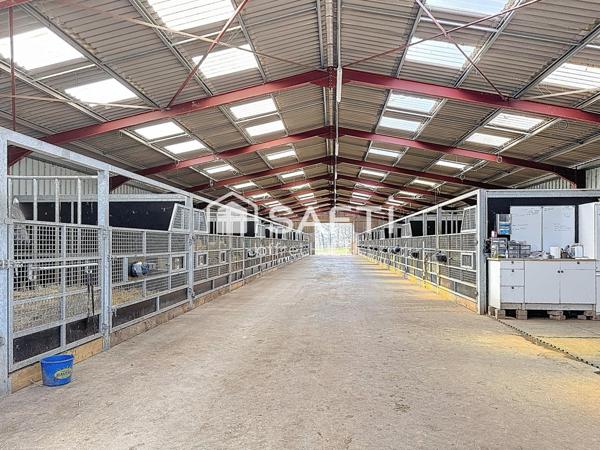 HARAS 66 Ha + MAISON, 7 CHAMBRES POSSIBILITÉ CHAMBRES D'HÔTES
