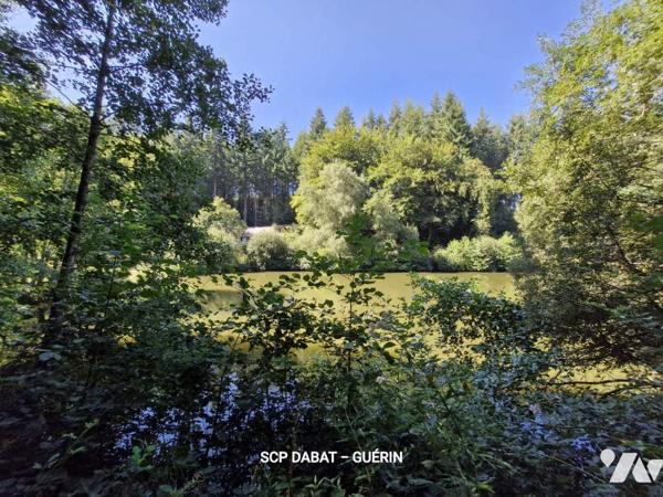 Maison d'habitation avec étangs