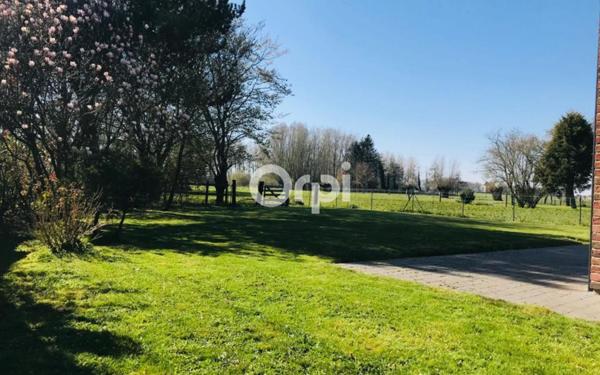 Maison à vendre    5 pièces •  Templeuve