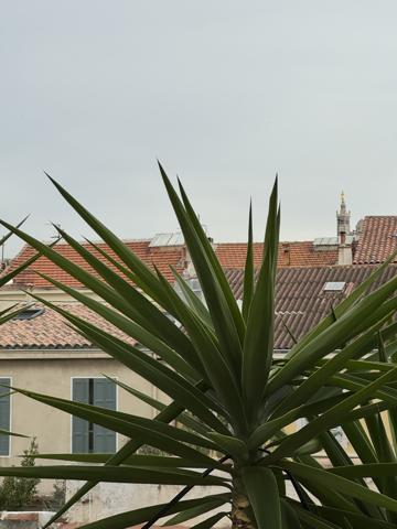 Marseille (13007) VENTE APPARTEMENT TYPE 3 89,75 M2 CARREZ TERRASSE 16,5 M2 SAMATAN ENDOUME 13007 MARSEILLE