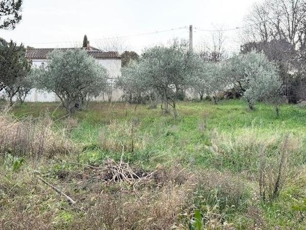 Vente / Terrain constructible