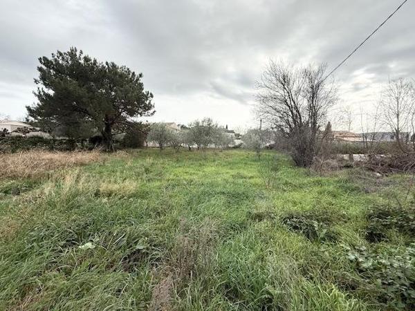 Vente / Terrain constructible