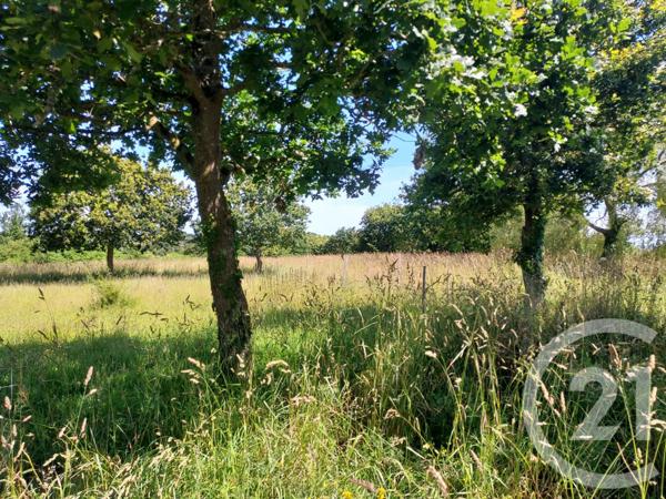 Maison à vendre  4 pièces - 115 m2 PLOURIVO - 22