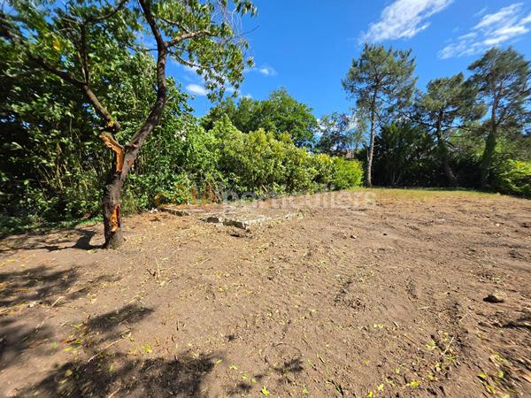 Vente
                Terrain707 m² - MONTS (37260)