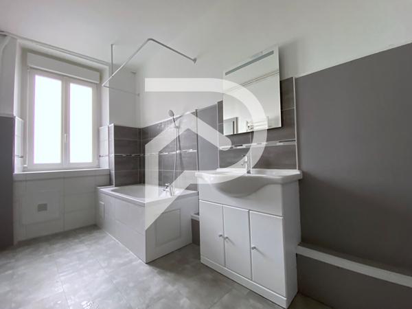 Immeuble Luneville 390.21 m2