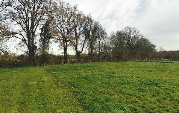 Vente Maison Cognac-la-foret   