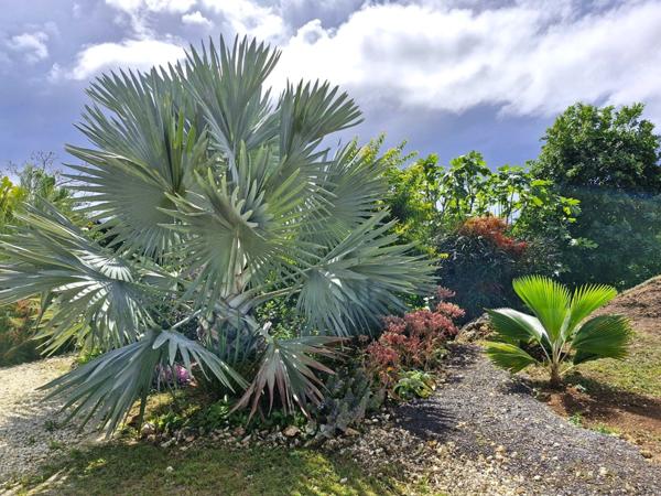 Marie Galante - Terrain de 1 611m² vue mer avec maison en construction