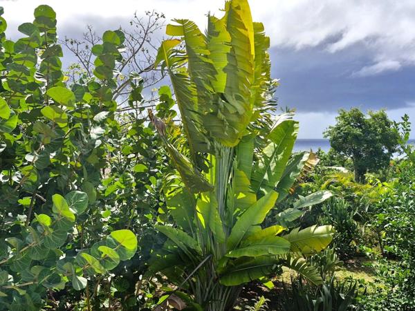 Marie Galante - Terrain de 1 611m² vue mer avec maison en construction