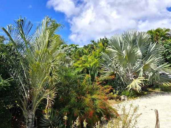 Marie Galante - Terrain de 1 611m² vue mer avec maison en construction