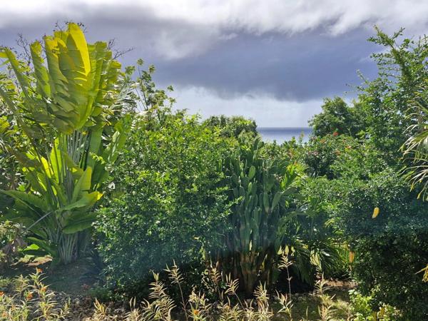 Marie Galante - Terrain de 1 611m² vue mer avec maison en construction