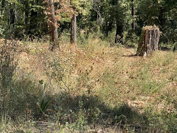 Terrain constructible à vendre, 22 a 19 ca - Callian 83440