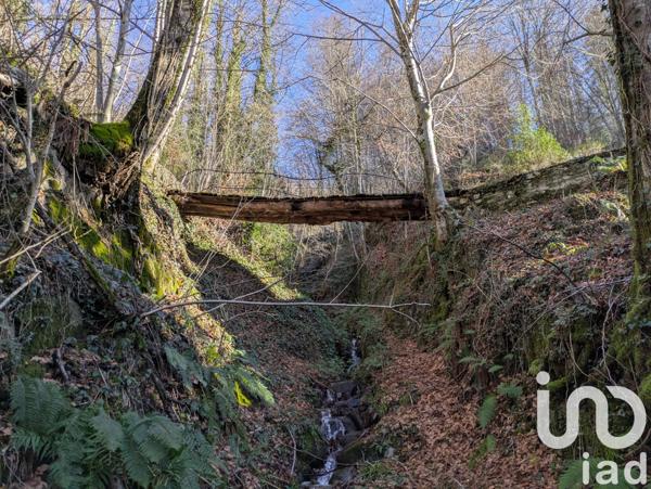 Terrain à vendre 9 242 m² Le Port