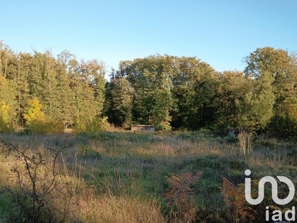 Terrain à vendre 19 102 m² Saint-Pierre-de-Maillé
