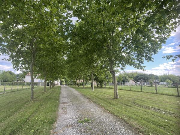 Commerce à vendre à Fongrave (47260) - Lot-et-Garonne
