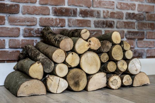 Anglet (64600) The wild Loft