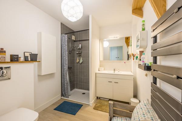 Anglet (64600) The wild Loft