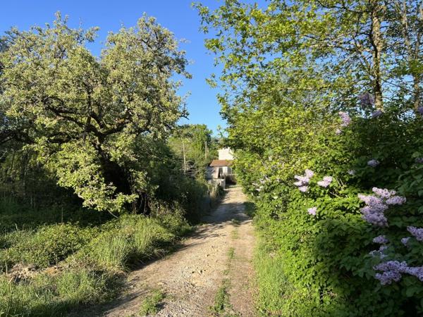 Vente / Maison et grand terrain