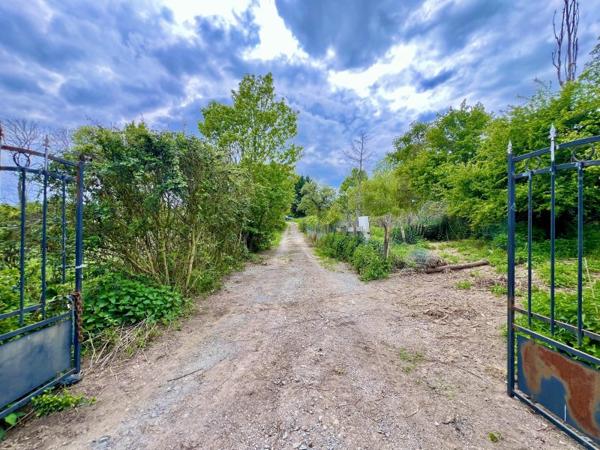 Vente / Maison et grand terrain