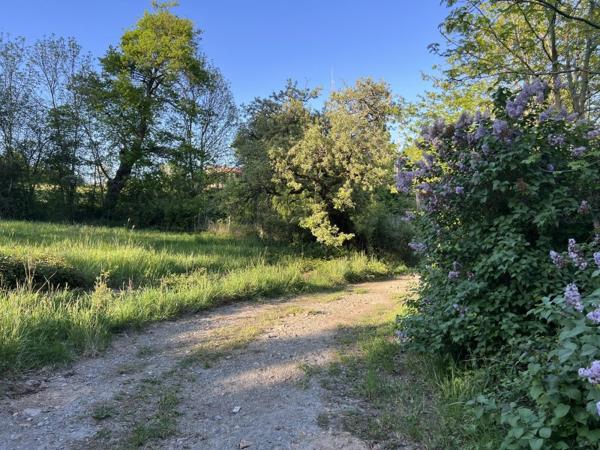 Vente / Maison et grand terrain