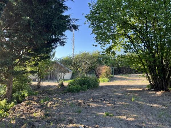 Vente / Maison et grand terrain