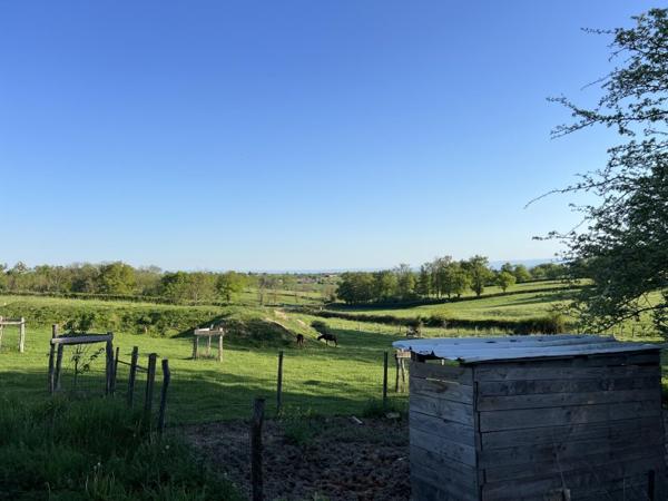 Vente / Maison et grand terrain
