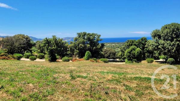 Terrain à vendre  1850 m2 LUMIO - 202