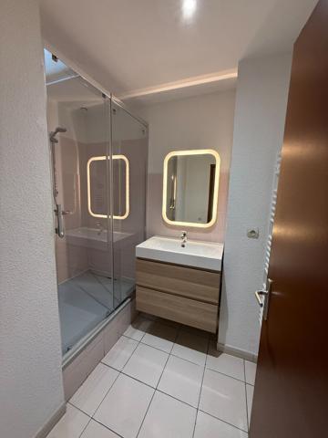 APPARTEMENT CLIMATISE 1 CHAMBRE AVE PARKING CARCASSONNE