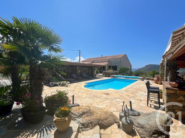 Maison à vendre  7 pièces - 261,30 m2 PATRIMONIO - 202