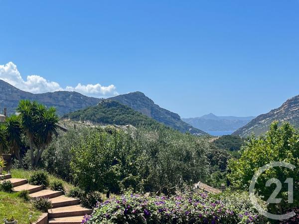 Maison à vendre  7 pièces - 261,30 m2 PATRIMONIO - 202