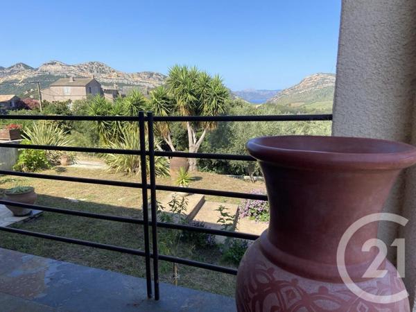 Maison à vendre  7 pièces - 261,30 m2 PATRIMONIO - 202