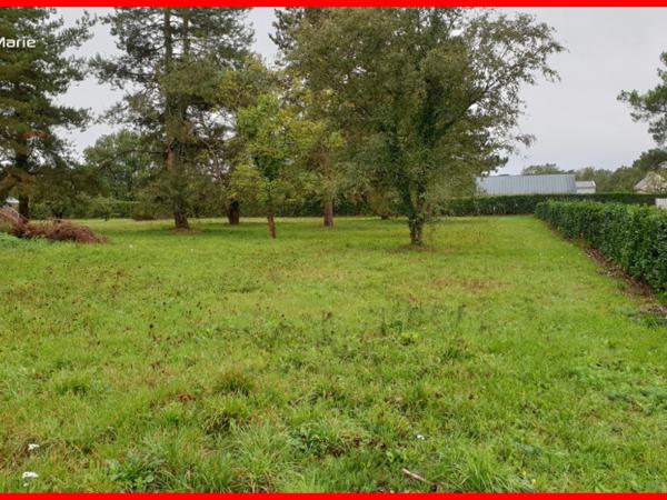Vente terrain Guemene Penfao : 68 500 € - AJP By Marie