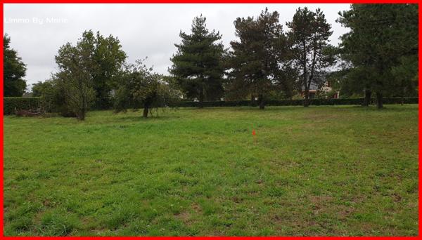 Vente terrain Guemene Penfao : 68 500 € - AJP By Marie