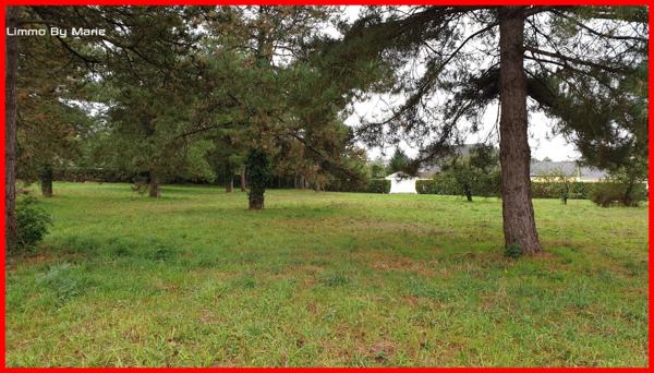 Vente terrain Guemene Penfao : 68 500 € - AJP By Marie
