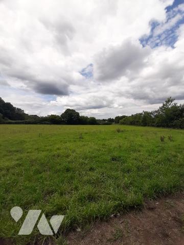 MAISON A VENDRE MEZERAY avec 02ha 67a 37ca.