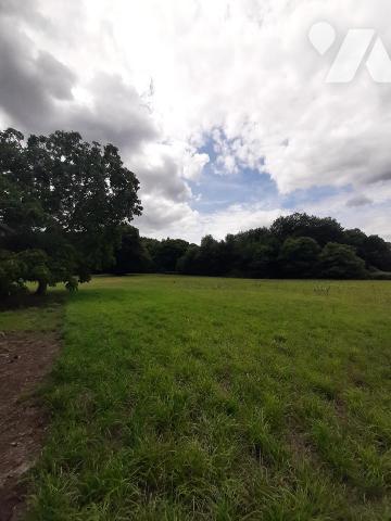 MAISON A VENDRE MEZERAY avec 02ha 67a 37ca.