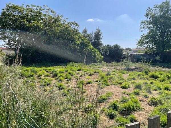 Terrain entièrement constructible 600 m2 non viabilisé