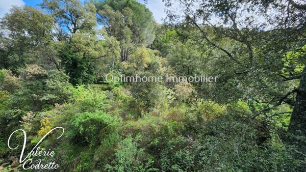 Vente Terrain Collobrières (83610) – Parcelle Forestière de 4,1 Hectares avec Rivière
