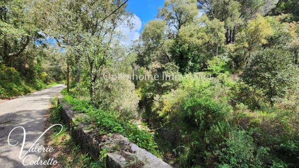 Vente Terrain Collobrières (83610) – Parcelle Forestière de 4,1 Hectares avec Rivière