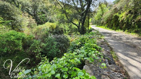 Vente Terrain Collobrières (83610) – Parcelle Forestière de 4,1 Hectares avec Rivière