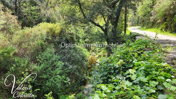 Vente Terrain Collobrières (83610) – Parcelle Forestière de 4,1 Hectares avec Rivière