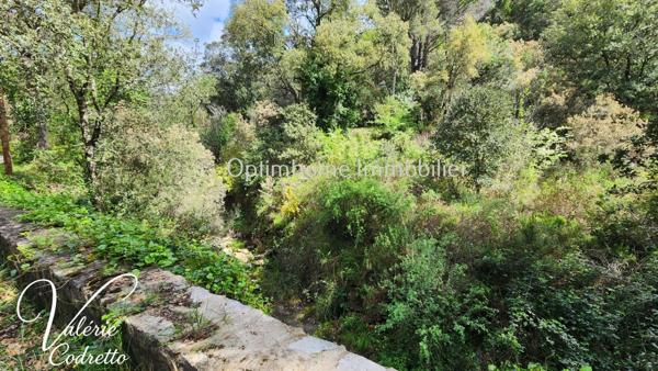 Vente Terrain Collobrières (83610) – Parcelle Forestière de 4,1 Hectares avec Rivière