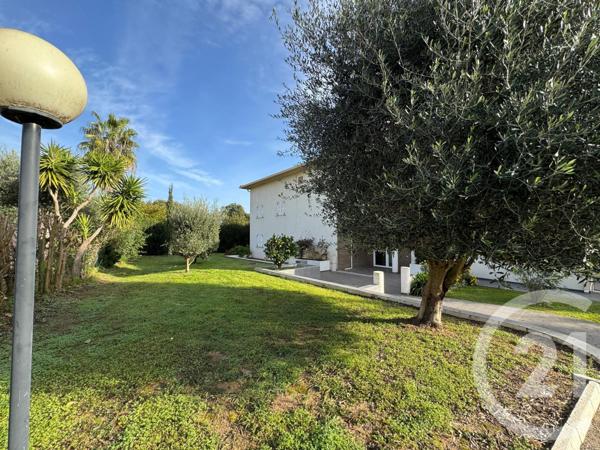 Appartement F2 à vendre  2 pièces - 49,51 m2 SANTA LUCIA DI MORIANI - 202