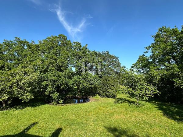 Maison - 5 pièces- 155 m²