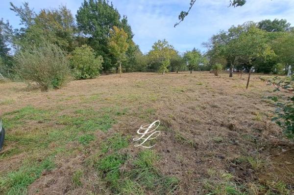Vente - Terrain LA GUIERCHE (72380)