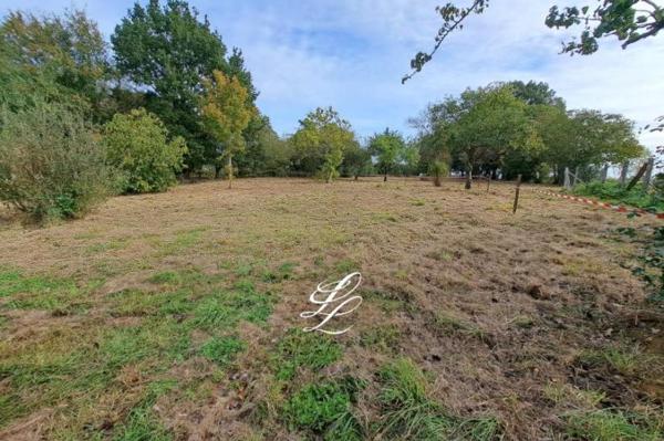 Vente - Terrain LA GUIERCHE (72380)