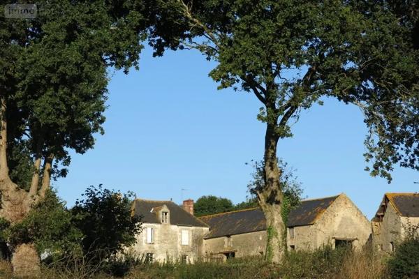 Achat - Maison Ambon 56190 5 pièces 157 m 2 45923 m 2