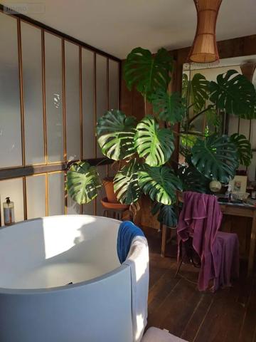 Achat - Maison Ambon 56190 5 pièces 157 m 2 45923 m 2